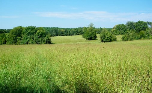 Land in Broken Bow, Oklahoma, Vereinigte Staaten 1