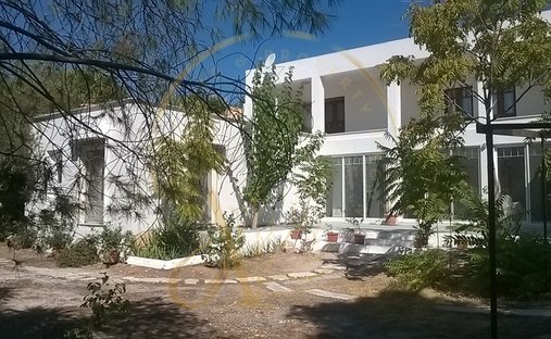 Villa in Kropia, Attica, Greece 1