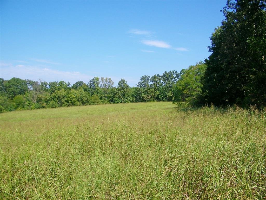 Land in Broken Bow, Oklahoma, United States 5 - 16203818