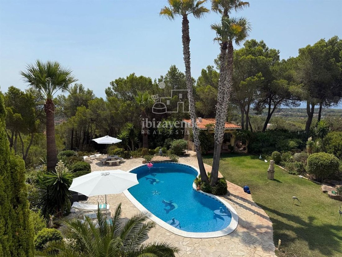 House in Sant Carles de Peralta, Santa Eularia des Riu, Balearic Islands 5 - 16206602