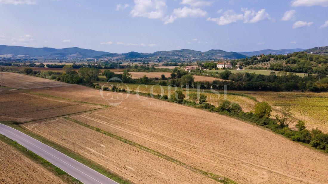 Villa in Corciano, Umbria, Italy 4 - 16204133