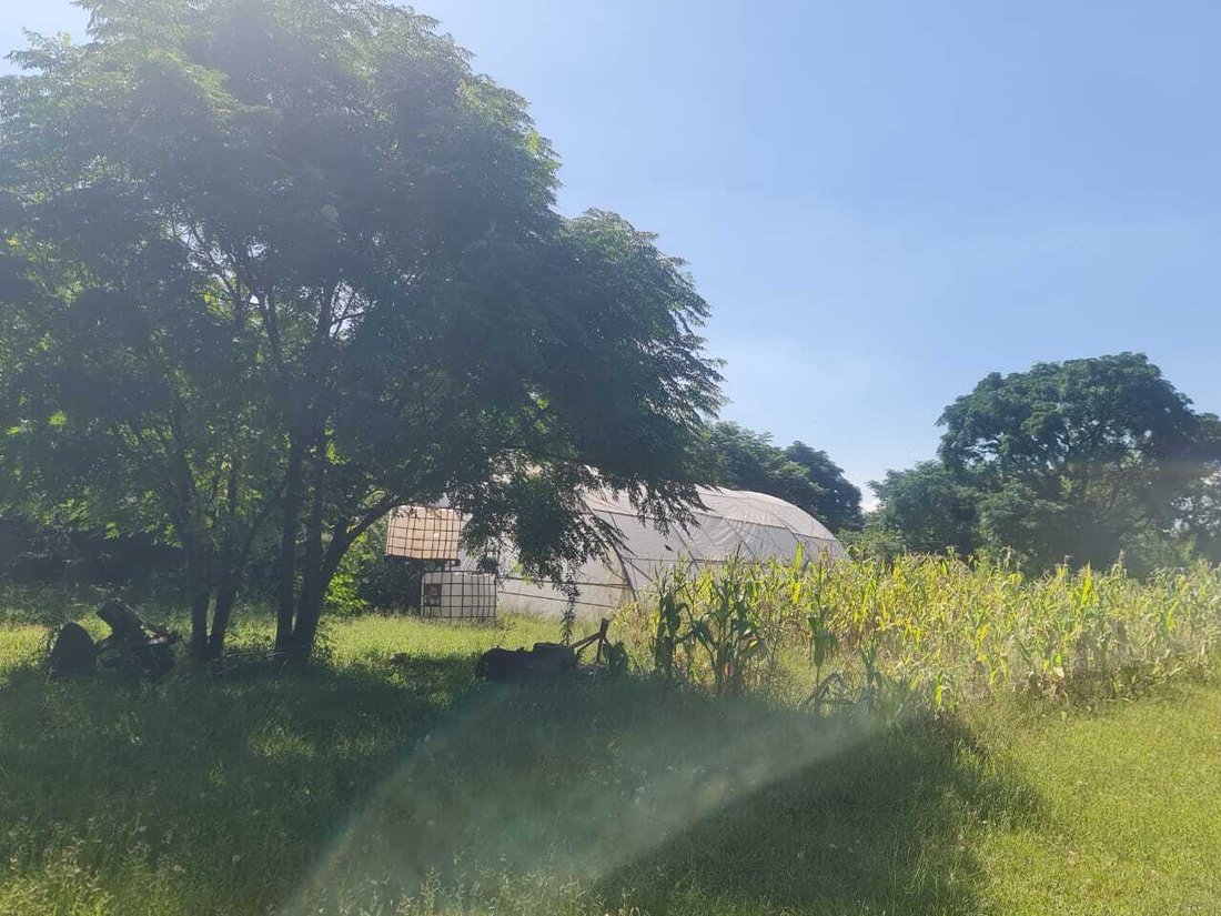Farm Ranch in Vanderbijlpark, Gauteng, South Africa 5 - 16203514