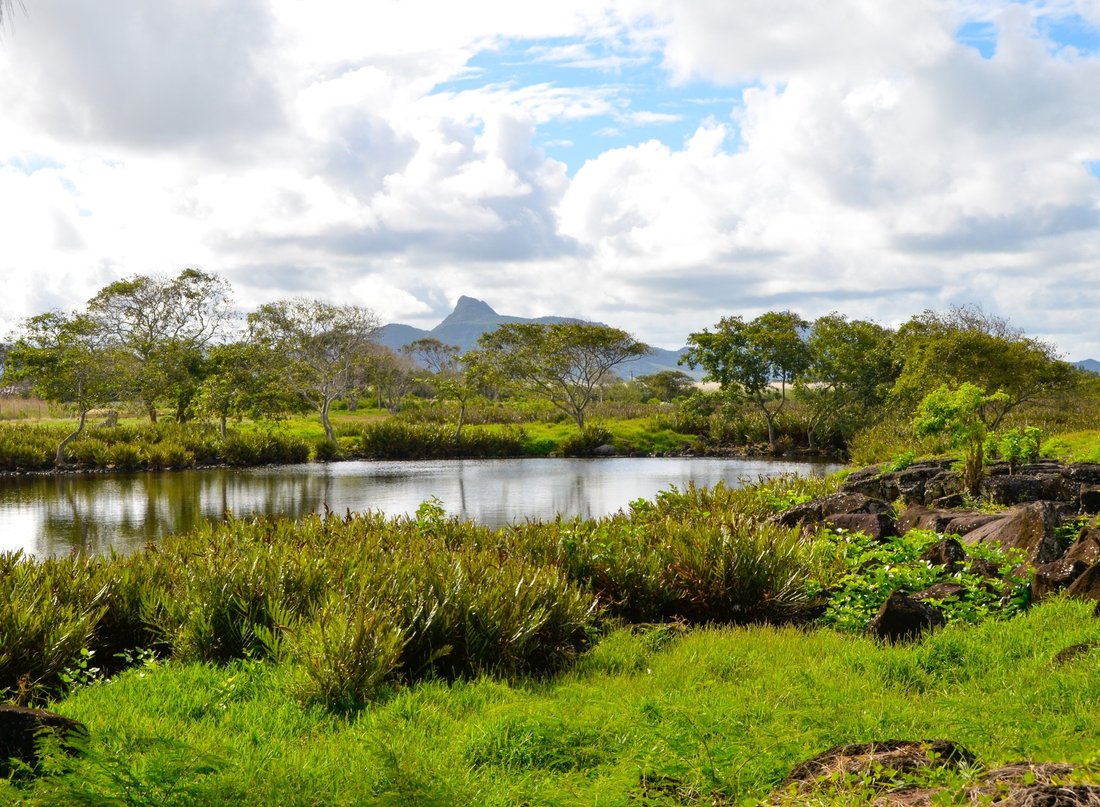 Villa in Pointe d'Esny, Grand Port District, Mauritius 4 - 16207994