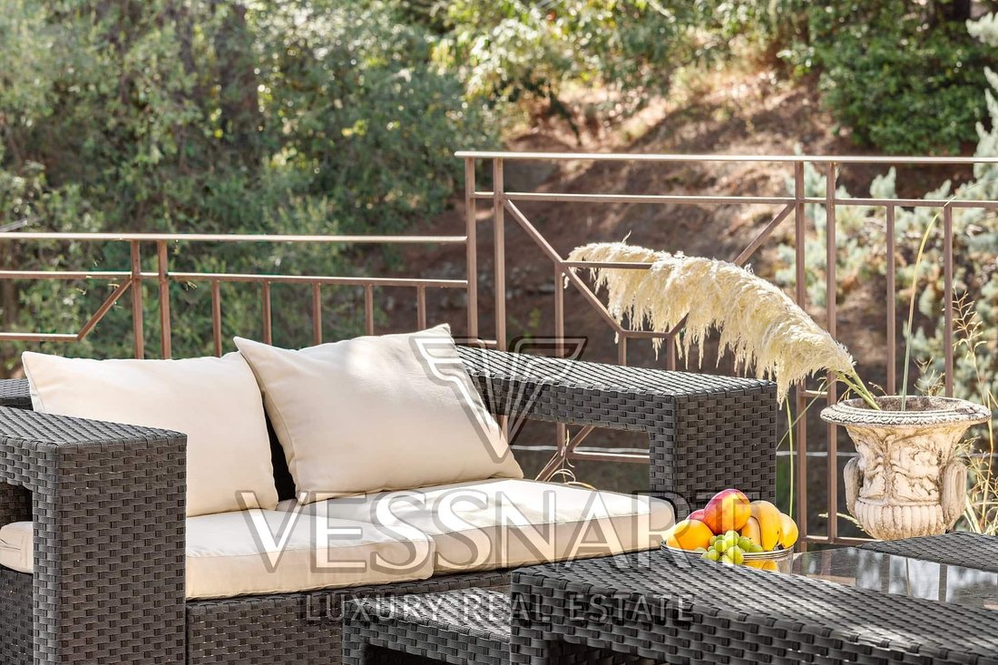 Villa in Nice, Provence-Alpes-Côte d'Azur, France 5 - 14563714