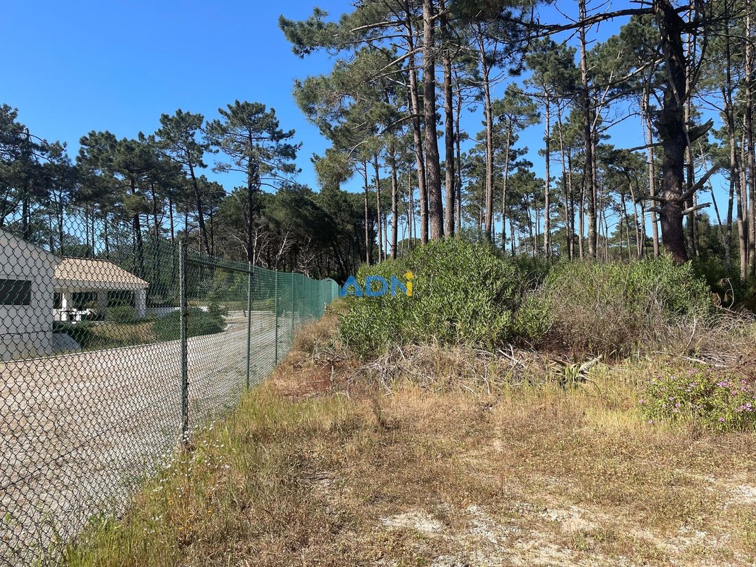 Land in Colares, Lisbon, Portugal 2 - 16203728
