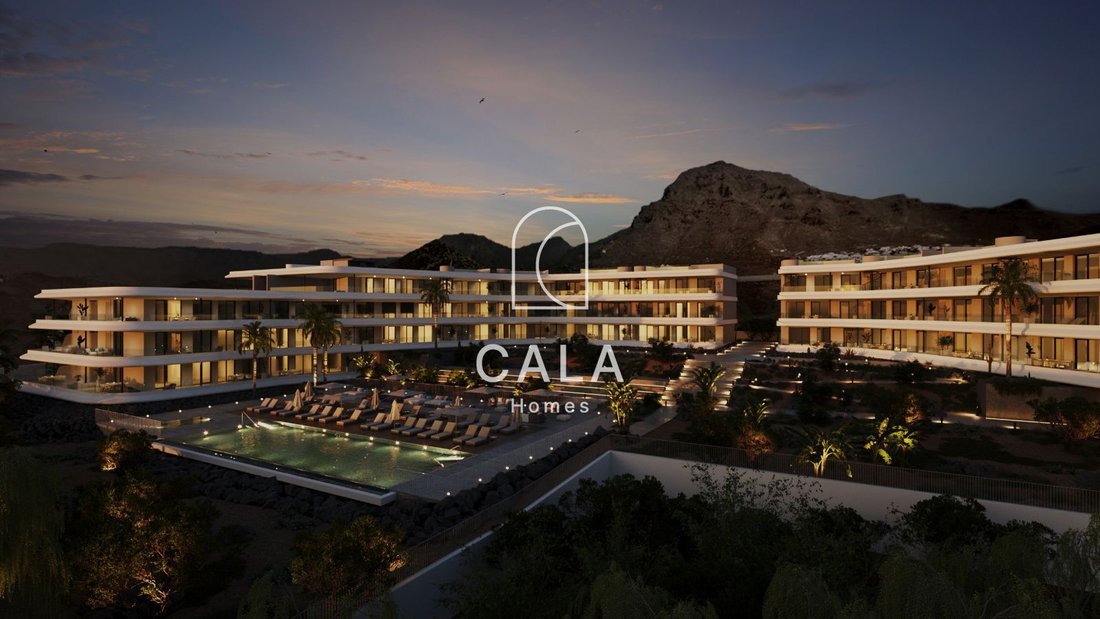 Apartment in Adeje, Canary Islands, Spain 4 - 16202628