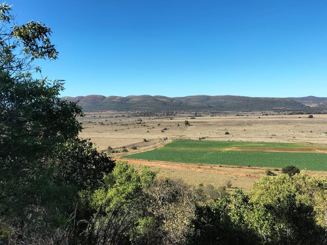 Farm Ranch in Vredefort, Free State, South Africa 3 - 16207991