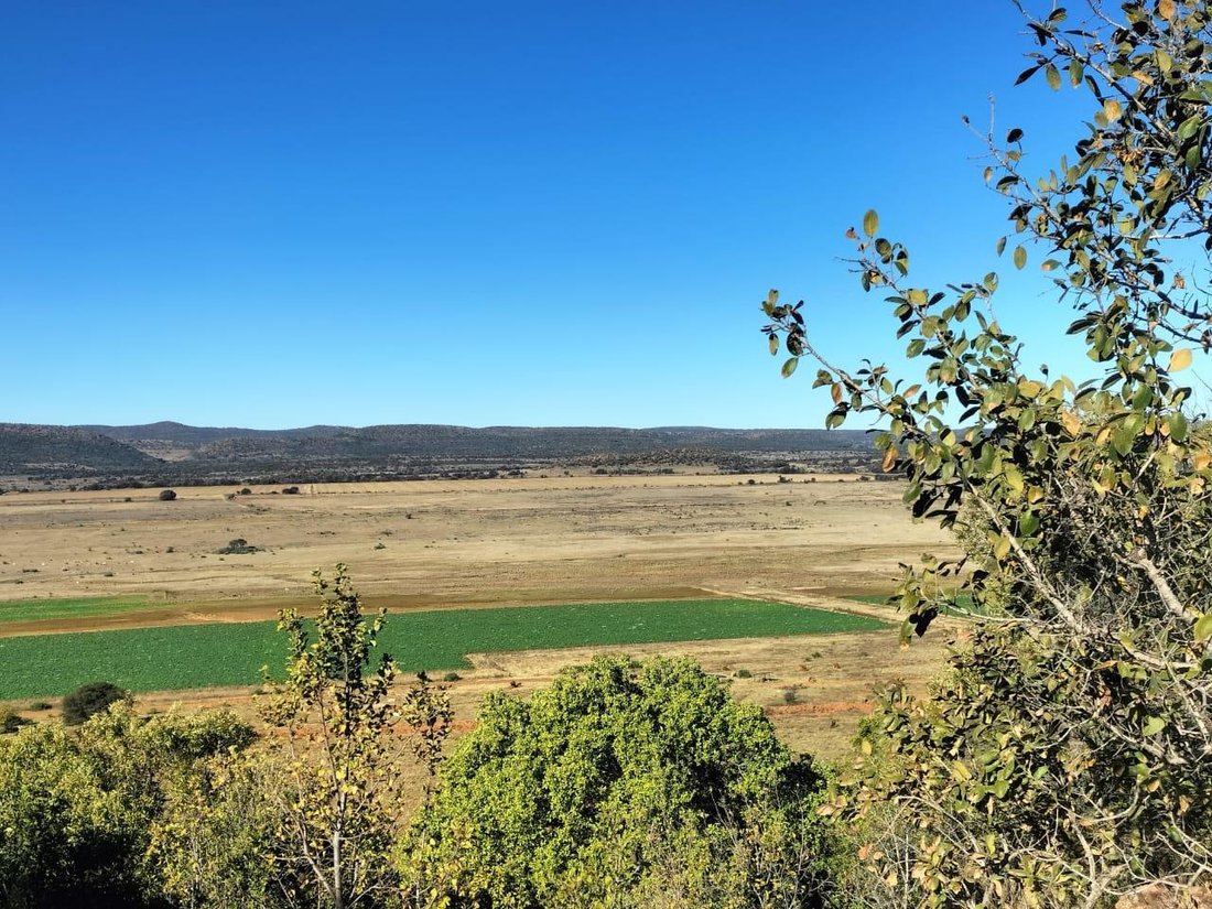 Farm Ranch in Vredefort, Free State, South Africa 2 - 16207991
