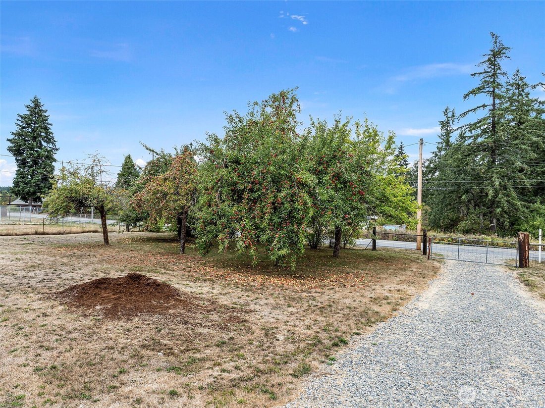 House in Roy, Washington, United States 4 - 16204627