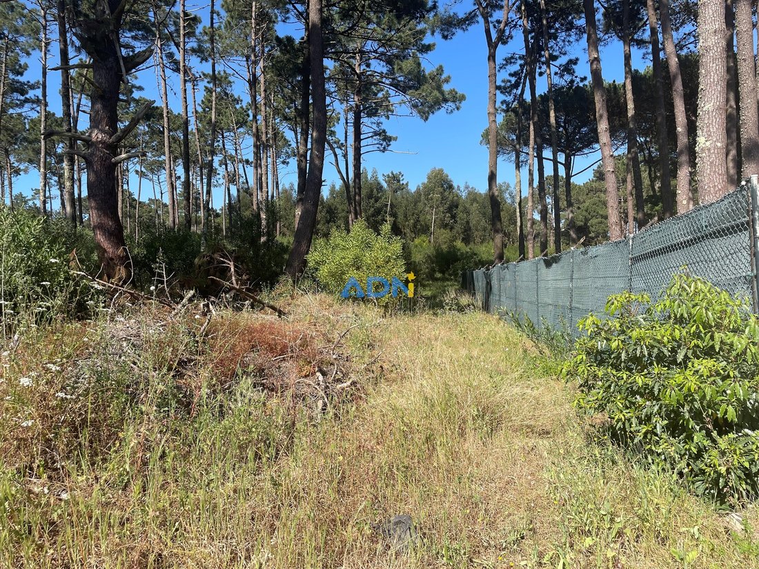 Land in Colares, Lisbon, Portugal 4 - 16203728
