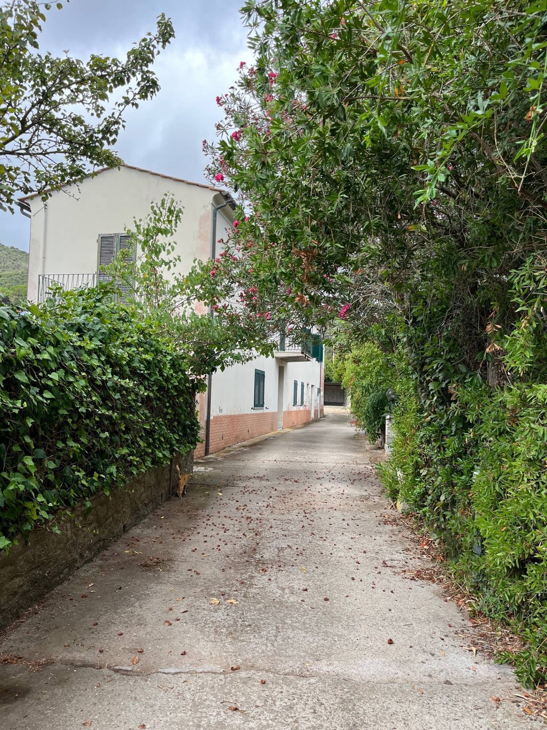 House in Marciana, Tuscany, Italy 1 - 16204845