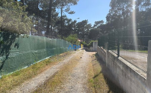 Land in Colares, Lisbon, Portugal 1