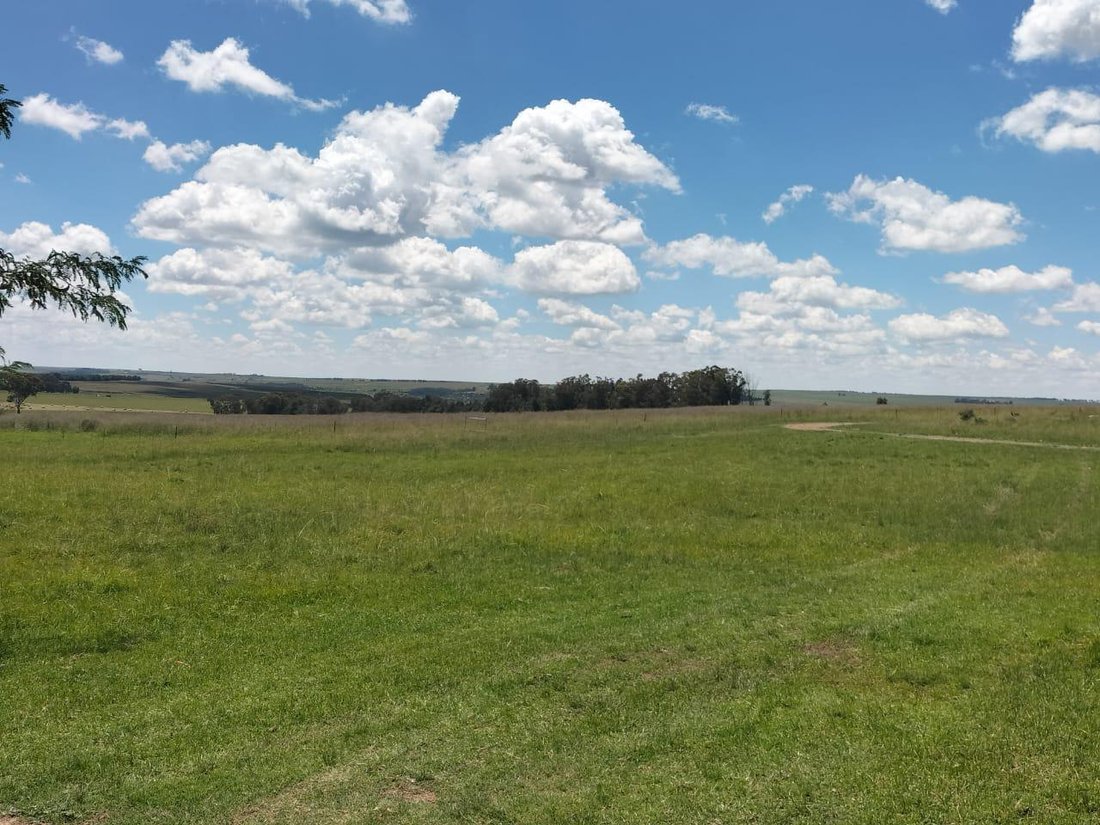 Farm Ranch in Bethlehem, Free State, South Africa 5 - 16207987