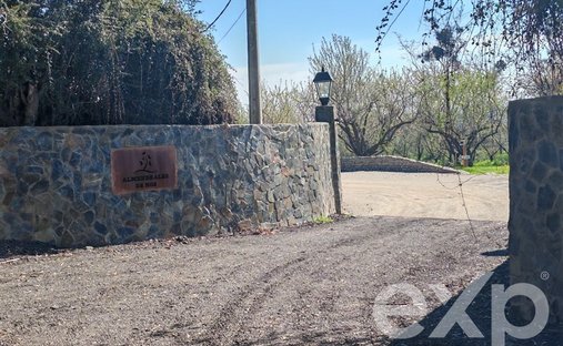Buin, Regione Metropolitana di Santiago, Cile 1
