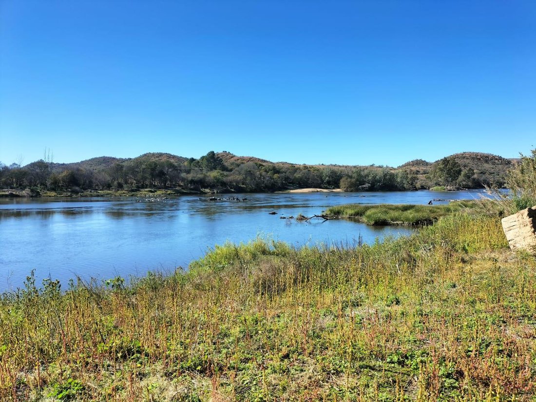 Farm Ranch in Vredefort, Free State, South Africa 1 - 16207991