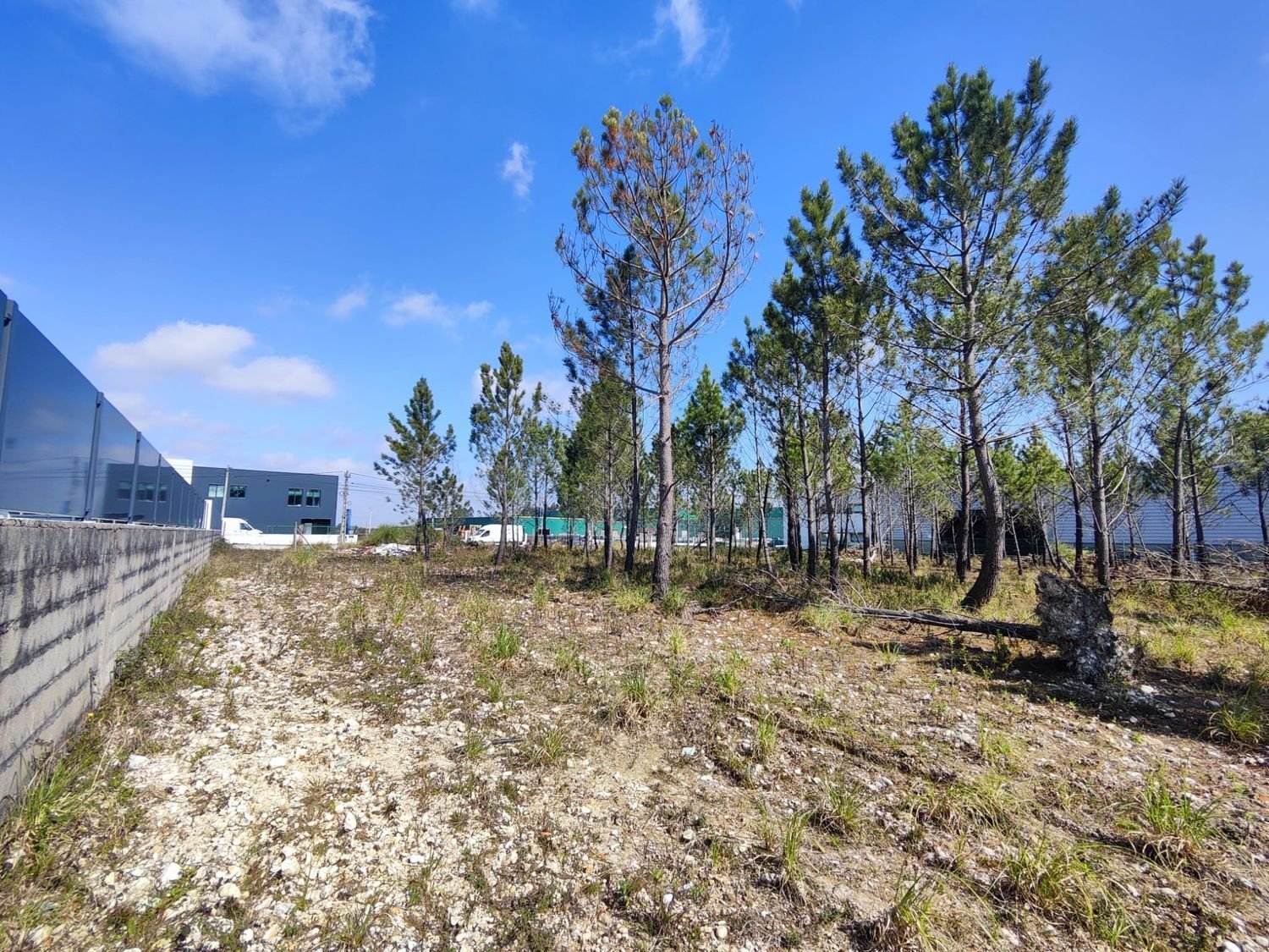Land for sale in Aveiro, Portugal — €680,000