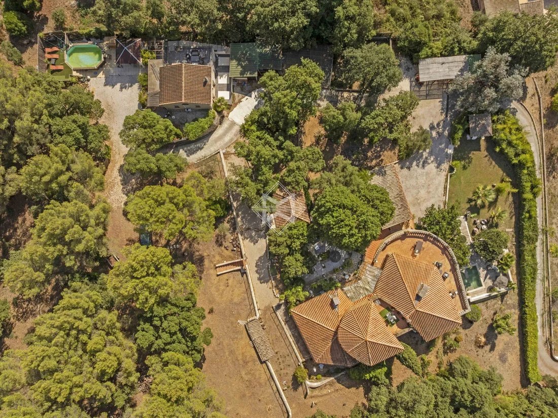Villa in Hyeres, Provence-Alpes-Côte d'Azur, France 2 - 16203239