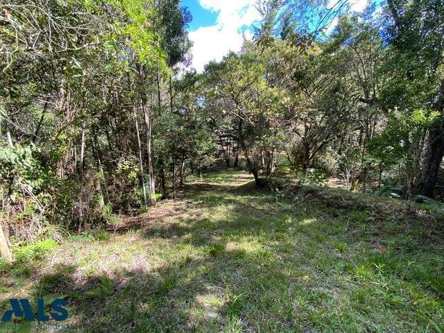 Land in Envigado, Antioquia, Colombia 5 - 16209088