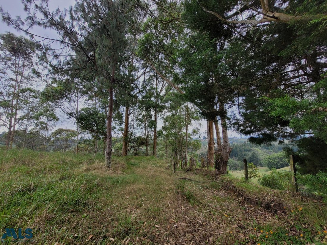 Land in Rionegro, Antioquia, Colombia 5 - 16208924