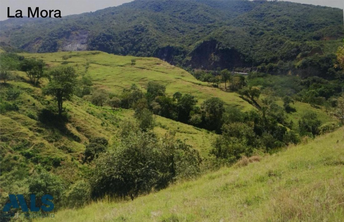 Land in San Jerónimo, San Jerónimo, Colombia 1 - 16209134