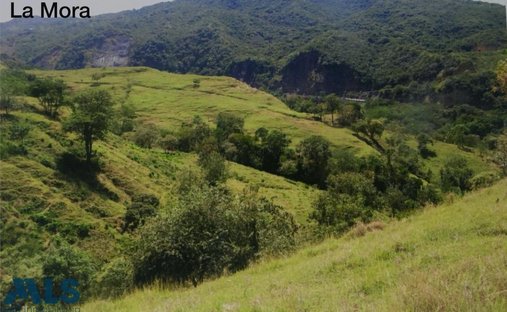 Land in San Jerónimo, San Jerónimo, Colombia 1