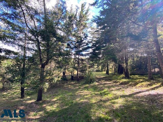 Land in Envigado, Antioquia, Colombia 3 - 16209088