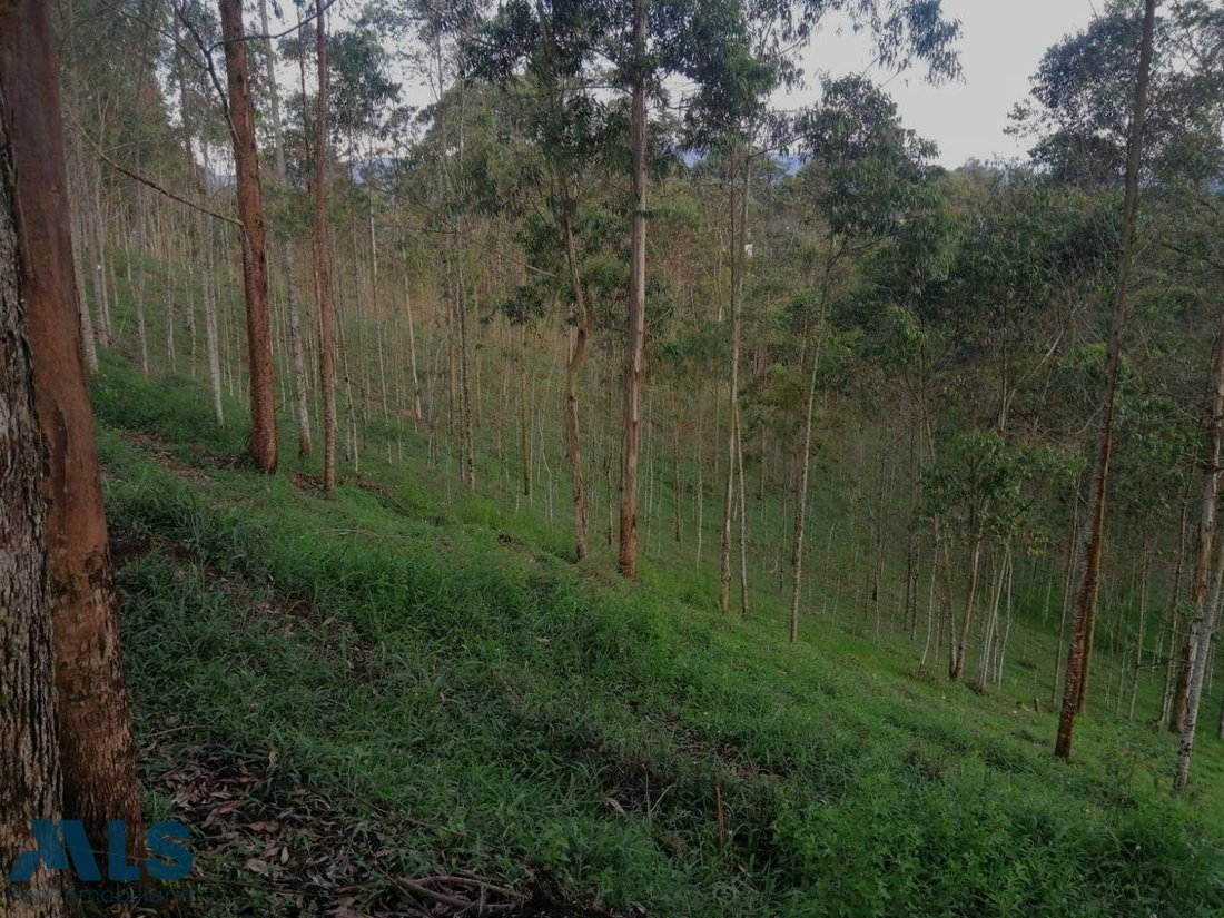 Land in El Carmen, Colombia 4 - 16208973