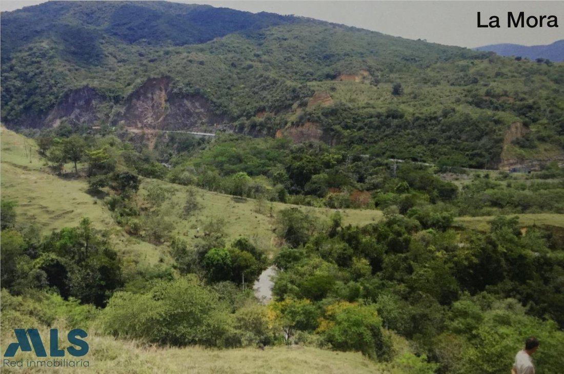 Land in San Jerónimo, San Jerónimo, Colombia 4 - 16209134