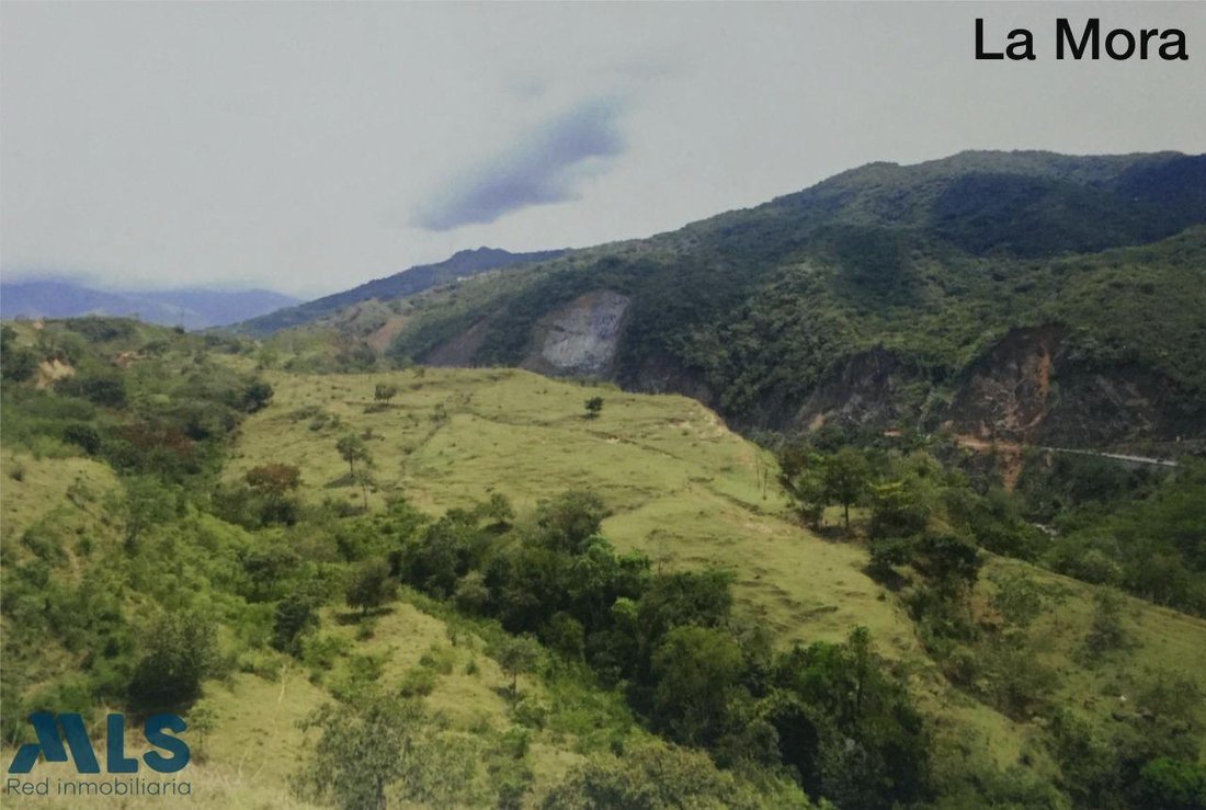 Land in San Jerónimo, San Jerónimo, Colombia 2 - 16209134