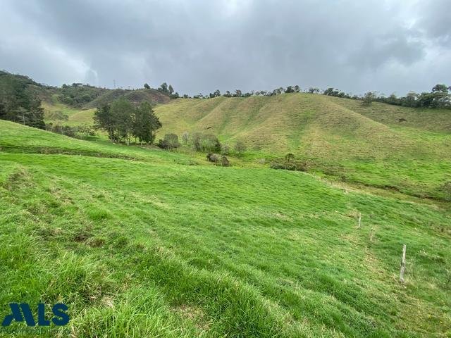 Land in Medellín, Antioquia, Colombia 1 - 16208990