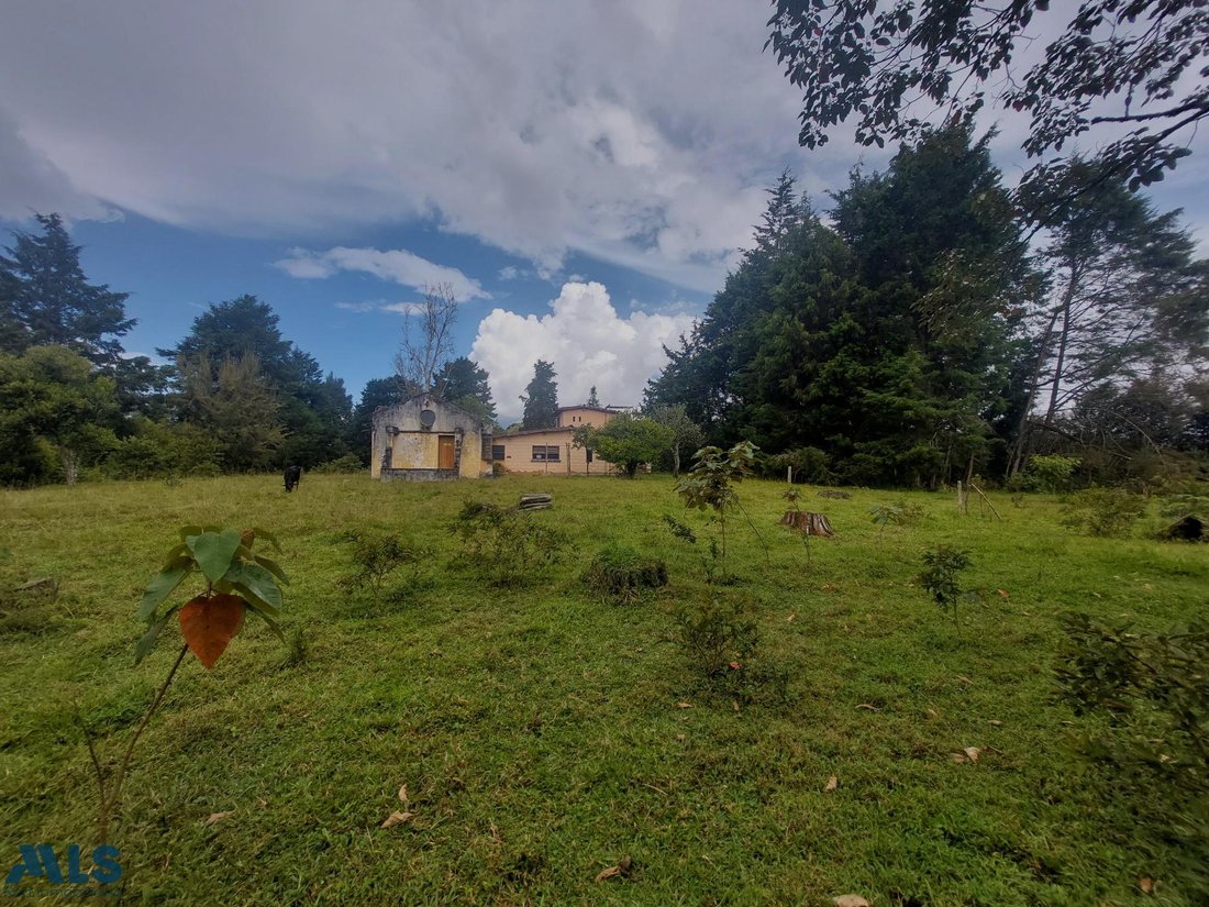 Land in Don Diego, Antioquia, Colombia 4 - 16209009