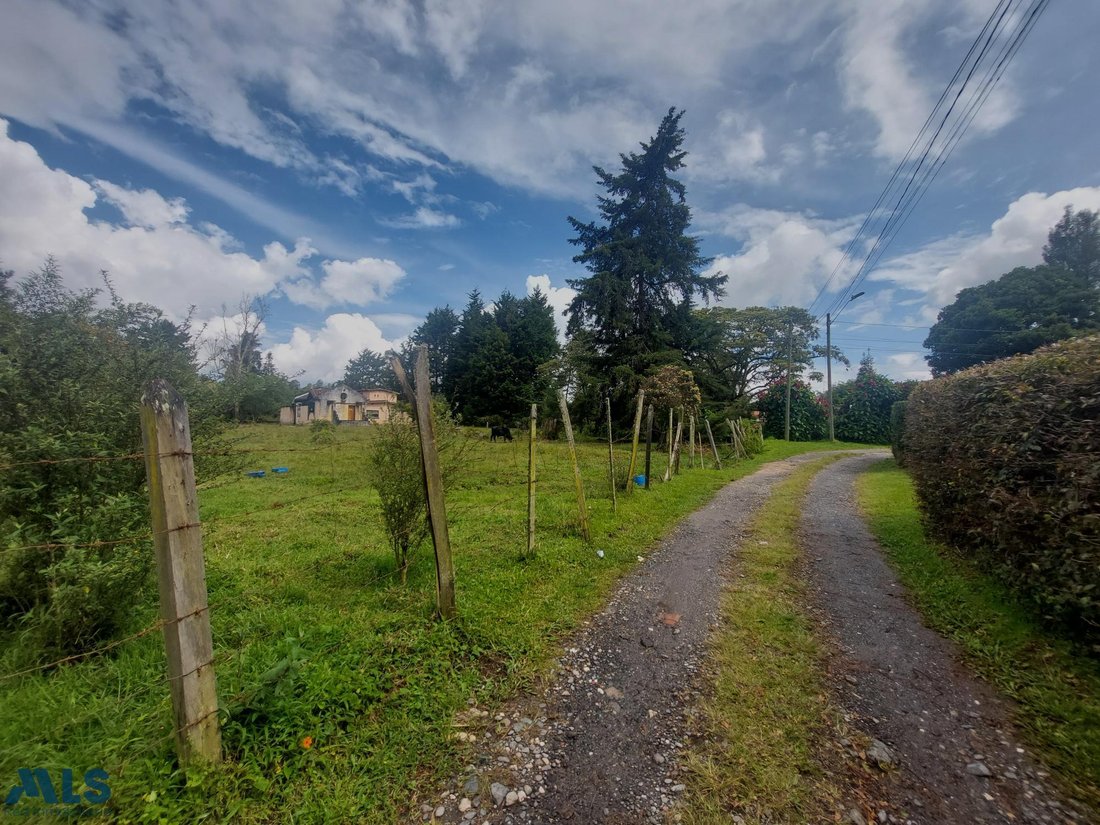 Land in Don Diego, Antioquia, Colombia 2 - 16209009