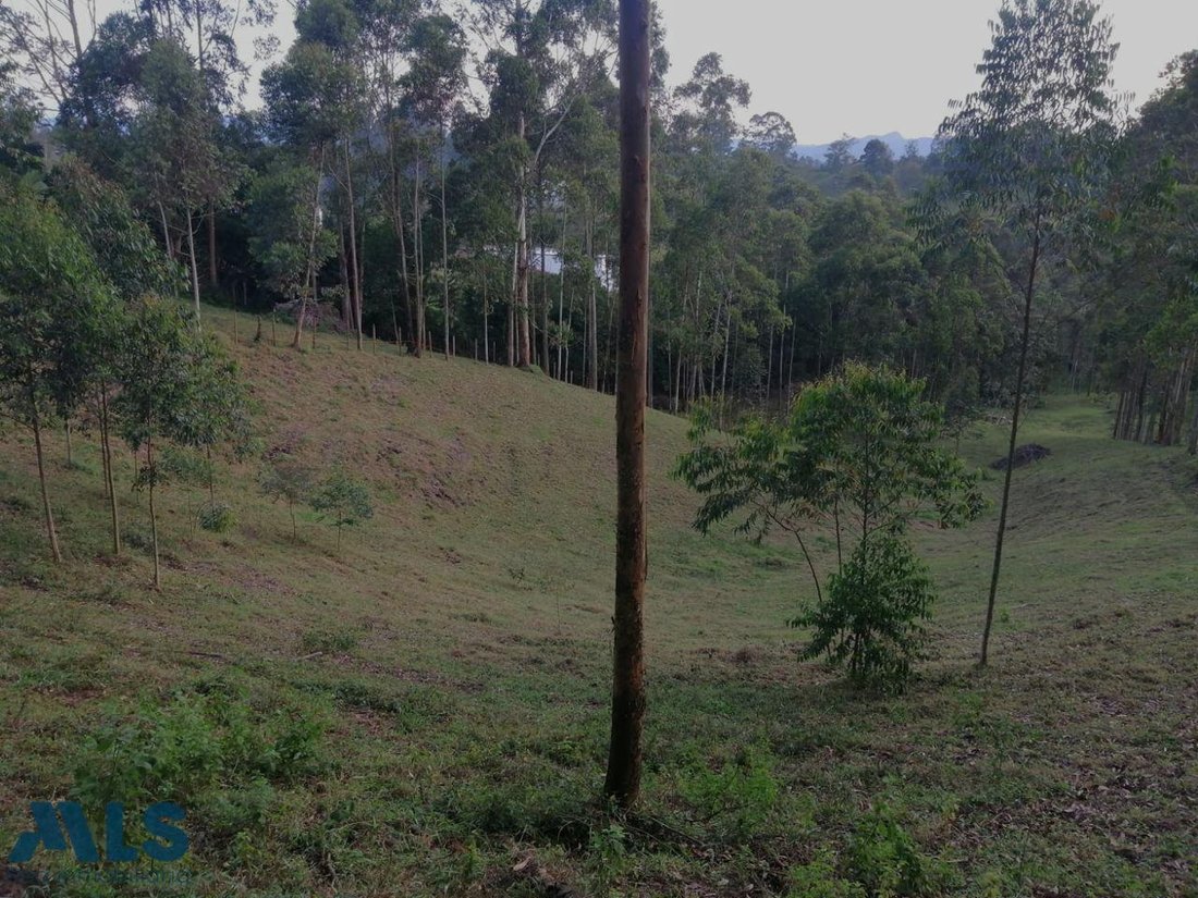 Land in El Carmen, Colombia 2 - 16208973