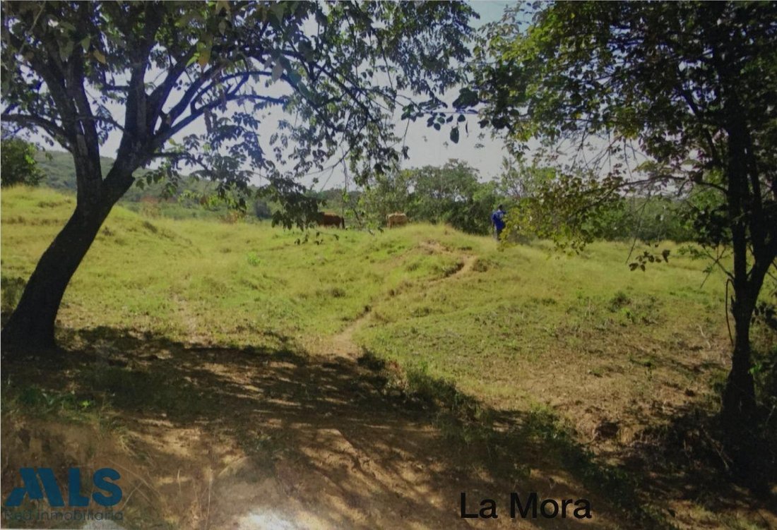 Land in San Jerónimo, San Jerónimo, Colombia 5 - 16209134