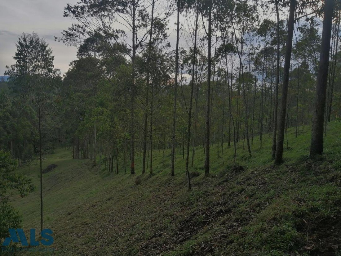 Land in El Carmen, Colombia 1 - 16208973