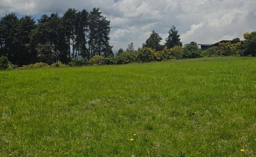 Land in Las Mercedes, Antioquia, Colombia 1