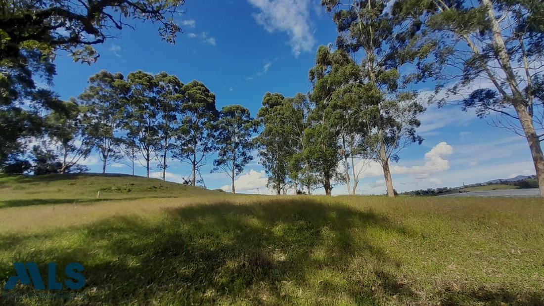 Land in El Carmen de Viboral, Antioquia, Colombia 1 - 16209111