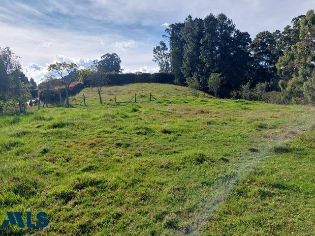 Land in Las Mercedes, Antioquia, Colombia 2 - 16209137