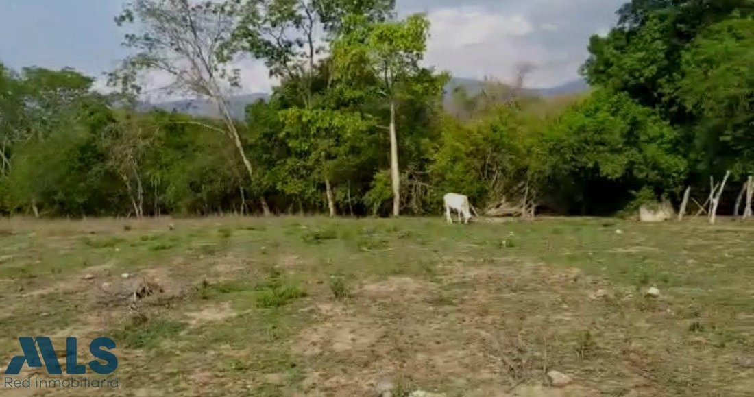 Land in Sopetrán, San Jerónimo, Colombia 5 - 16209133