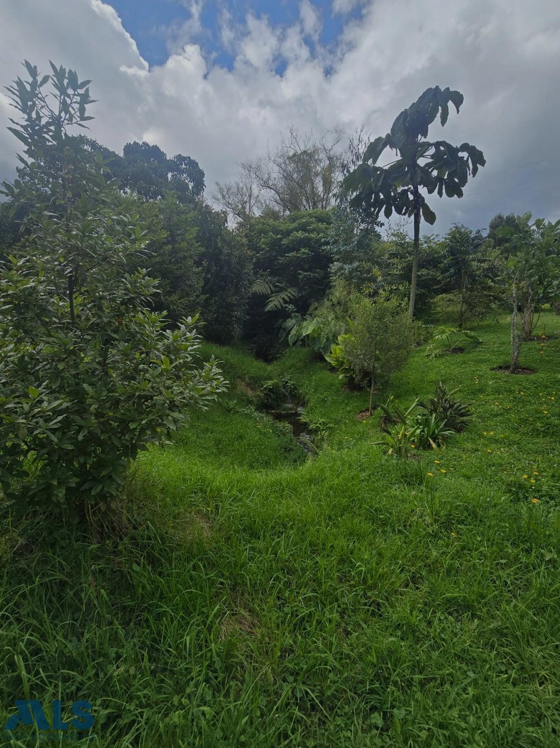Land in Envigado, Antioquia, Colombia 5 - 16208869