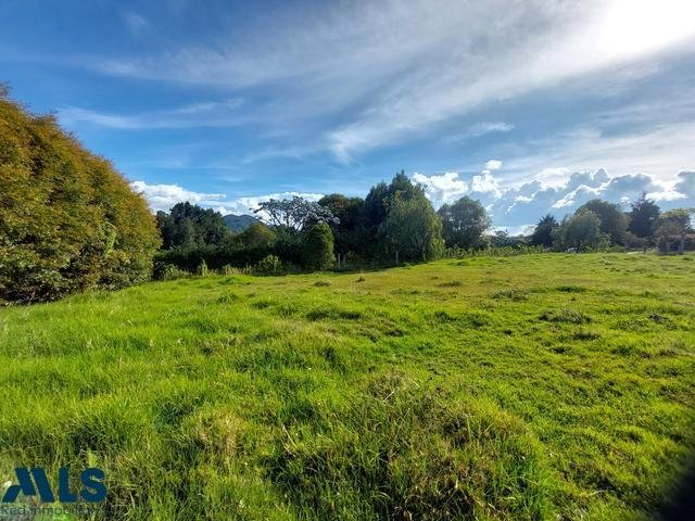 Land in Las Mercedes, Antioquia, Colombia 5 - 16209137