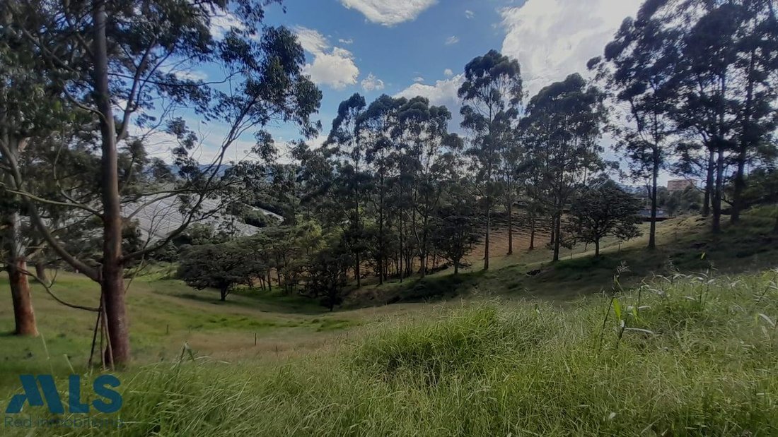 Land in El Carmen de Viboral, Antioquia, Colombia 3 - 16209111