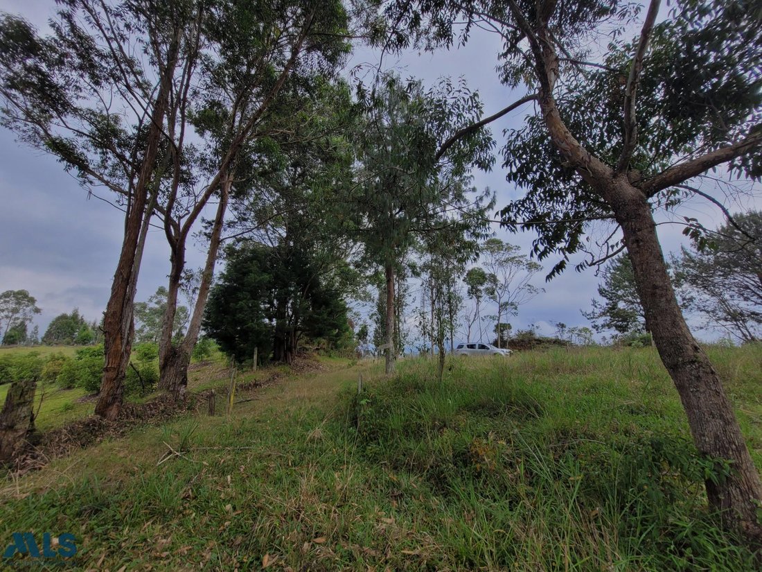 Land in Rionegro, Antioquia, Colombia 4 - 16208924