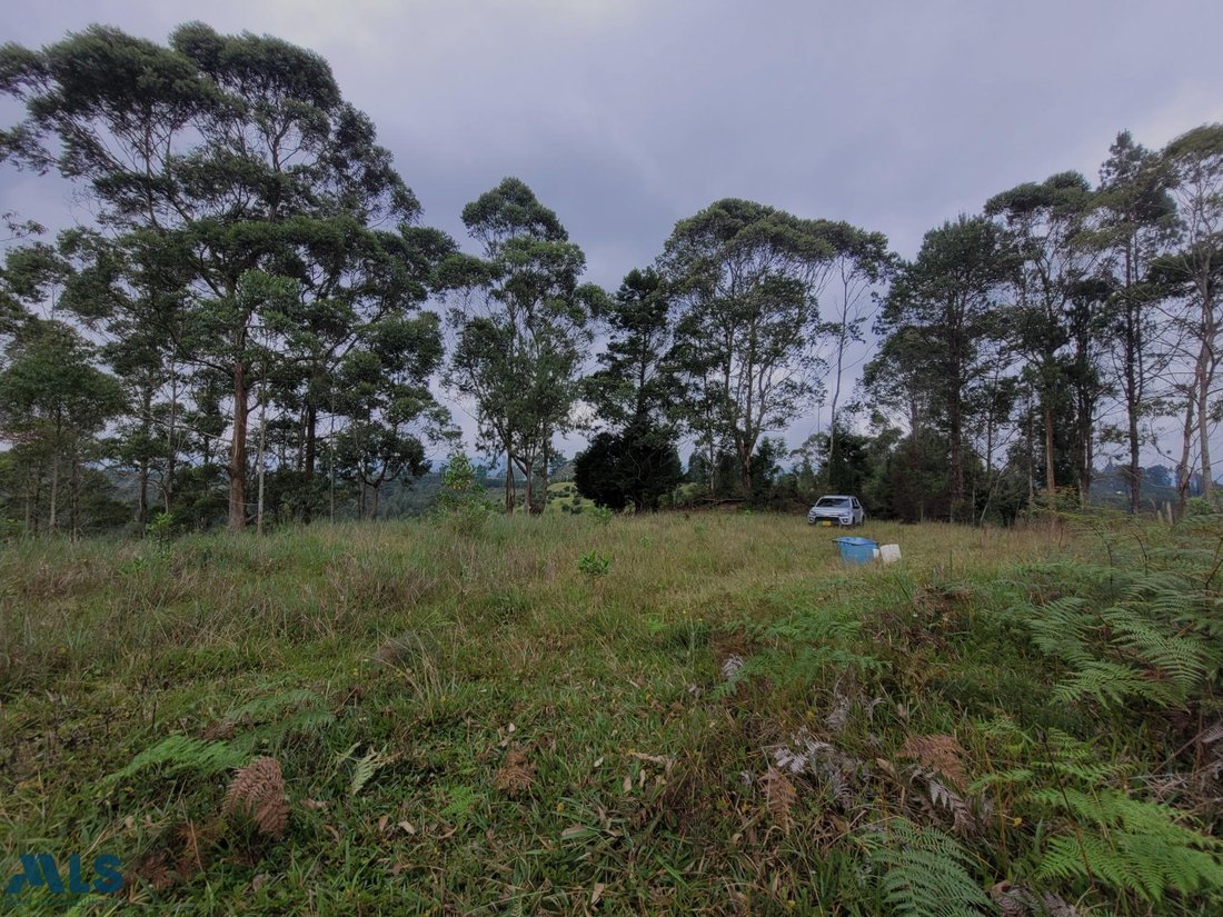 Land in Rionegro, Antioquia, Colombia 1 - 16208924