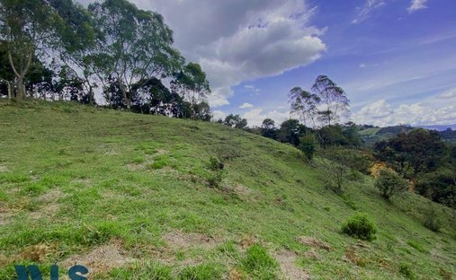 Land in Guarne, Antioquia, Colombia 1