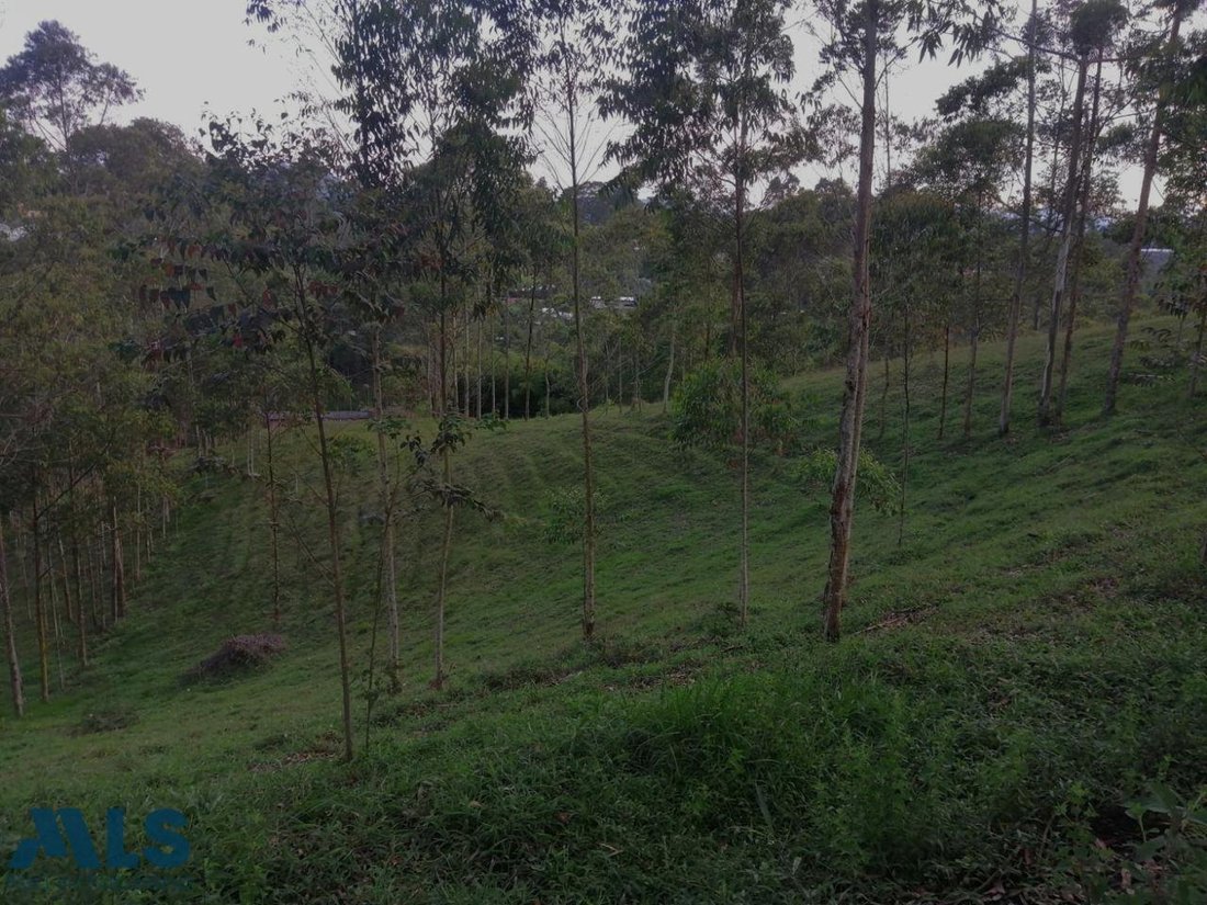 Land in El Carmen, Colombia 5 - 16208973