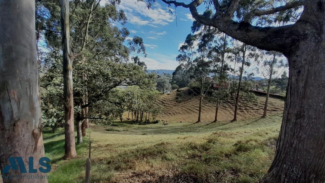 Land in El Carmen de Viboral, Antioquia, Colombia 5 - 16209111