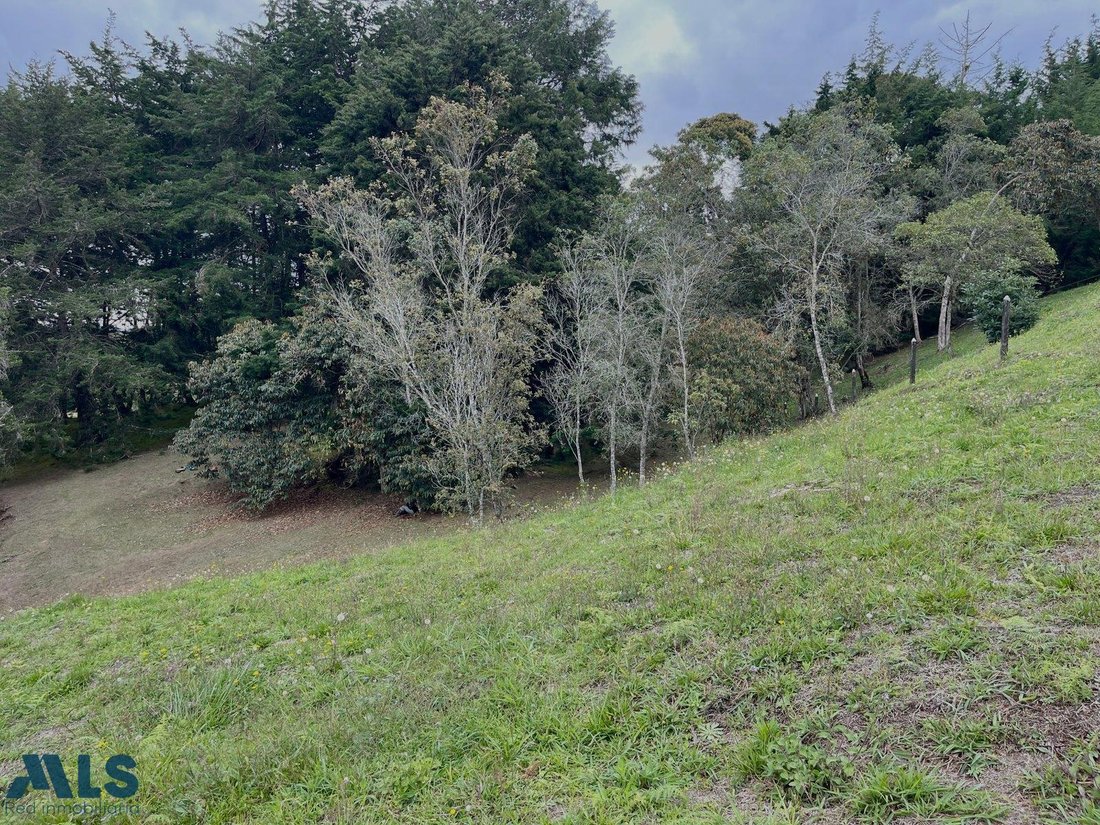 Land in La Margarita, Antioquia, Colombia 5 - 16208846