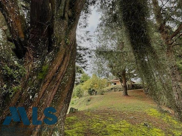 Land in Pozo Rubio, Antioquia, Colombia 5 - 16208578