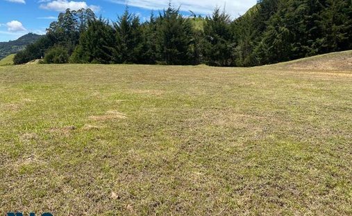 Terreno en Rionegro, Antioquia, Colombia 1